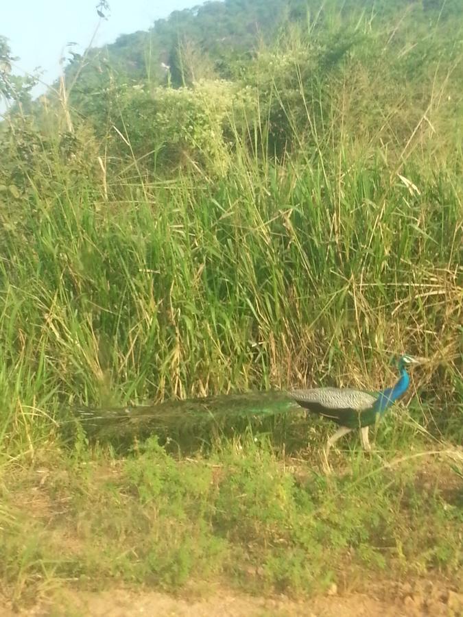 Shantha Surf Villa Weligama Buitenkant foto